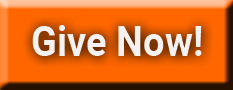 Give Now_Orange Button